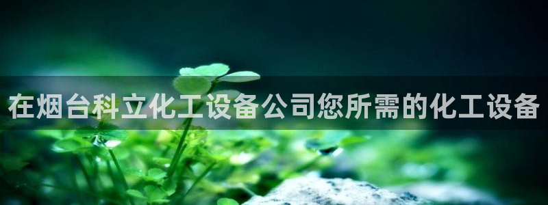 新航娱乐平台用户评价及反馈