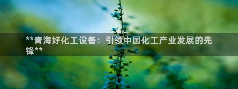 新航娱乐的股东名单和背景介绍