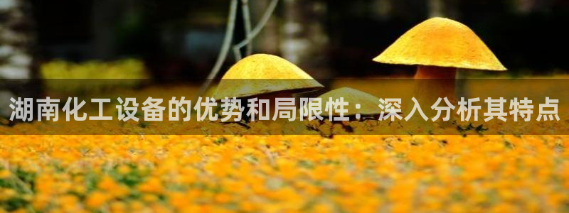 新航娱乐雀7IIII2联他是：湖南化工设备的优势和局限性：深