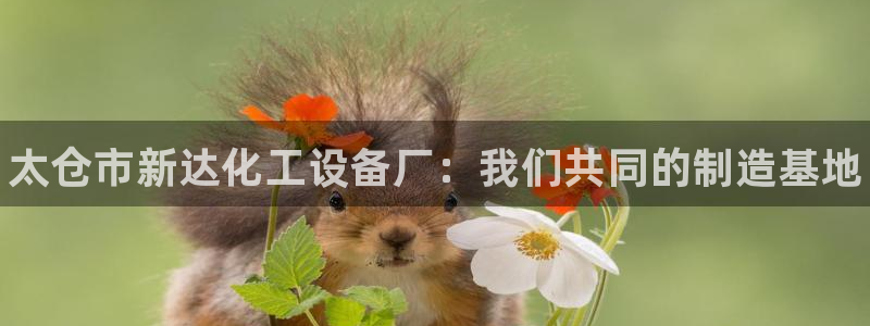 新航娱乐app最新版本更新内容在哪找