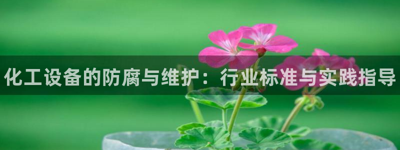 新航娱乐注册平台注册的步骤和注意事项