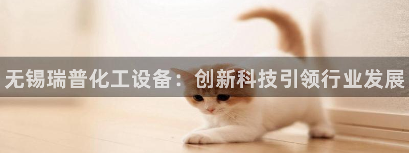 新航娱乐公司简介和历史背景怎么写