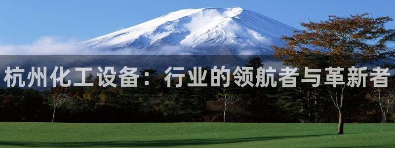 新航娱乐公司简介和历史背景怎么写