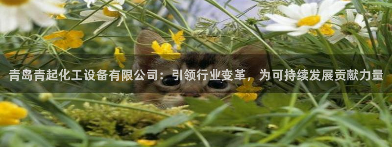 新航娱乐扣款怎么退款申请