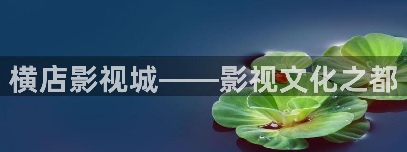 黑蚂蚁影视电视剧官网